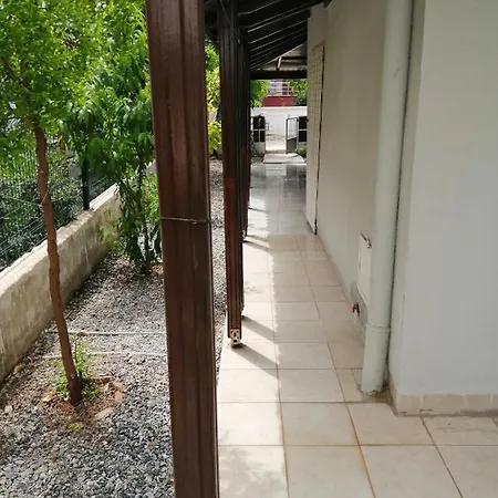 Elizya Gunluk Kiralik Evler Feriehus Didim