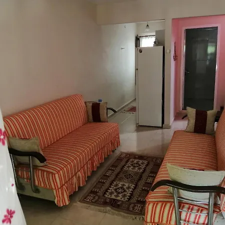 Elizya Gunluk Kiralik Evler Feriehus Didim